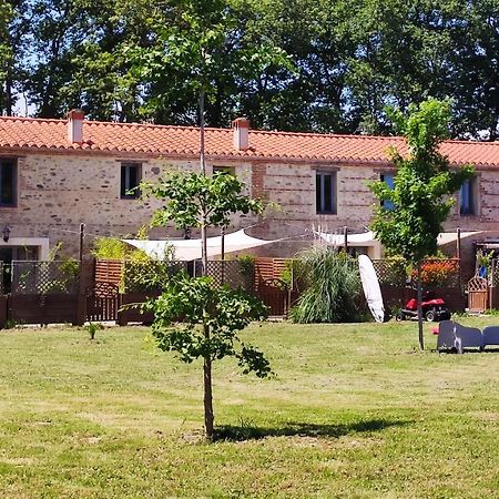 Les Appartements Du Mas Riols Saint-Cyprien  Exteriör bild