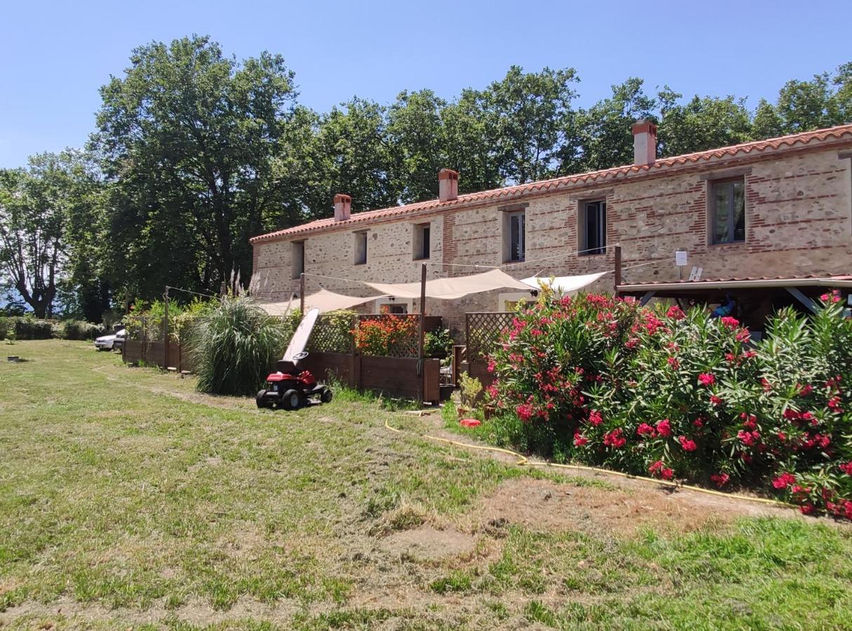 Les Appartements Du Mas Riols Saint-Cyprien  Exteriör bild
